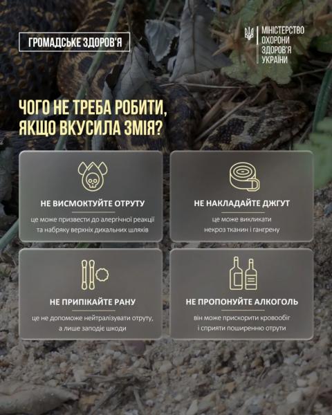 В Украине начался сезон активности змей: Минздрав предупреждает об опасности