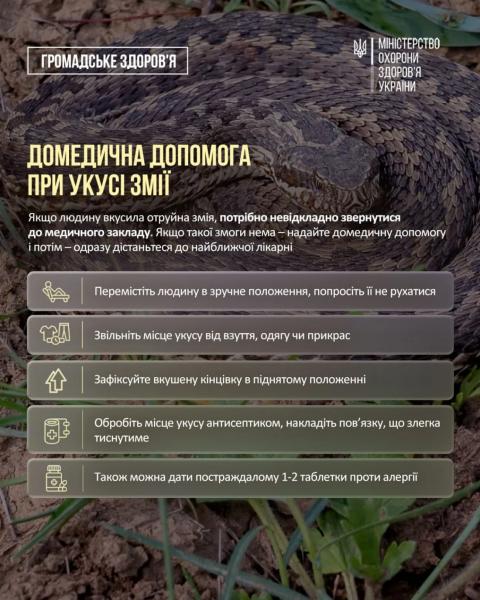 В Украине начался сезон активности змей: Минздрав предупреждает об опасности